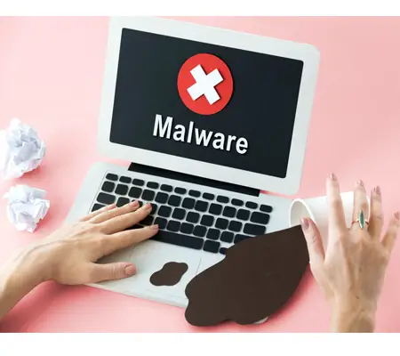 malware or viruses